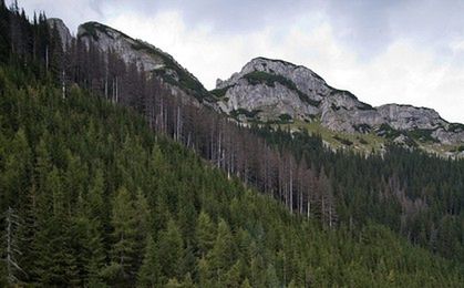 Turyści w Tatrach mogą wykupić dobrowolne ubezpieczenia