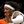 Gerald Wallace