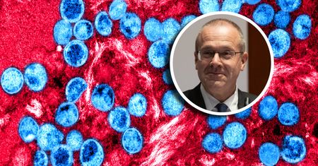 WHO: Małpia ospa nie jest nowym Covid-19. "Transmisja wirusa jest pod kontrolą"