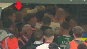 Sceny w Anglii. Puchacz w środku awantury [WIDEO]