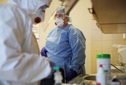 Newsroom. Program specjalny WP