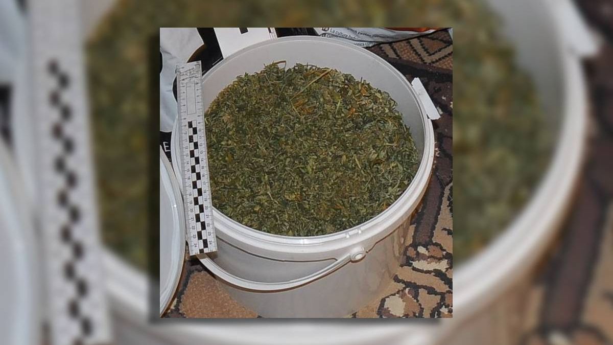 marihuana