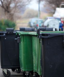 Chcą zamienić 30-letnie drzewa na śmietnik. Mieszkańcy oburzeni