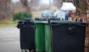 Chcą zamienić 30-letnie drzewa na śmietnik. Mieszkańcy oburzeni