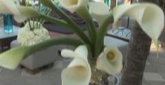 Wesele wśród palm - cz. 3