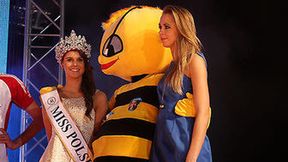 PGE Skra Bełchatów - Reprezentacja Polski 3:5