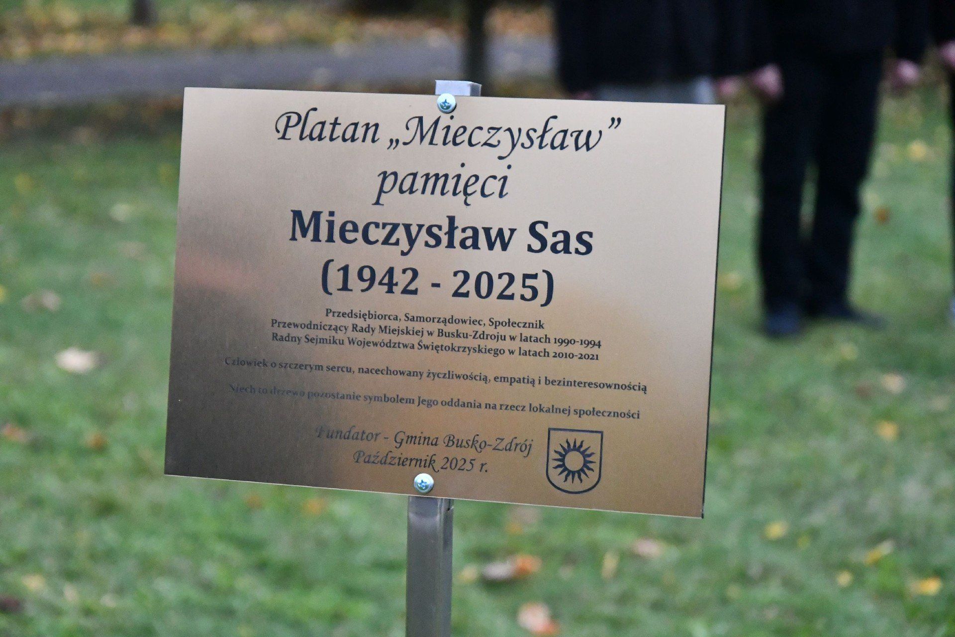 Tabliczka pamięci Mieczysława Sasa, która stoi obok pamiątkowego drzewa. 