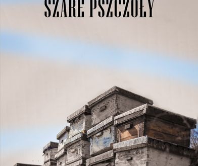 Szare pszczoły