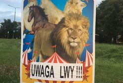 Wrocław. Nerwowo pod cyrkiem. Aktywiści chcą uwolnić zwierzęta