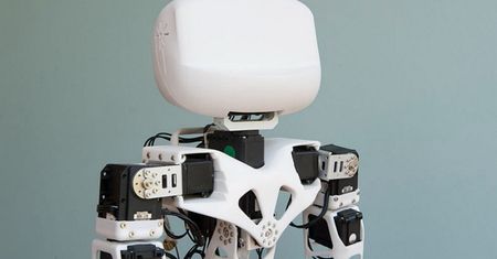 Powstała hybryda robota i myszy. Porusza się dzięki mięśniom gryzonia