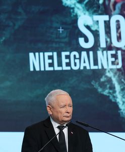 Kolejne referendum ws. migrantów? PiS chce powtórki sprzed dwóch lat