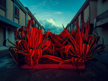 Sztuka pomagania - Co-Kreacje i Aukcja Charytatywna Fundacji Razem z Odwagą 2026