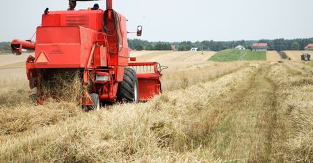 Na rynku brakuje słodu. Grupa Żywiec zwraca się do rolników