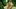 Trailer: Final Fantasy XIII