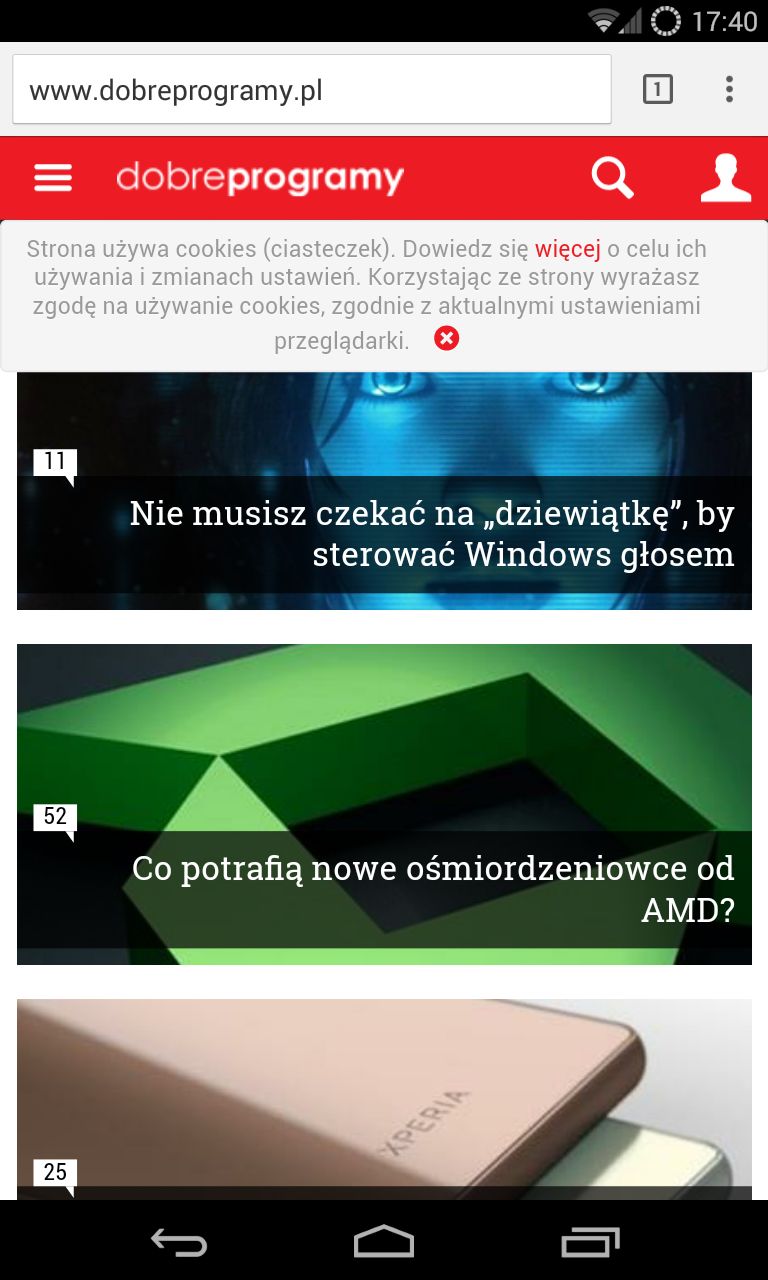 Obraz