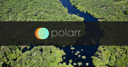 Polarr Photo Editor za 99 centów z okazji Dnia Ziemi