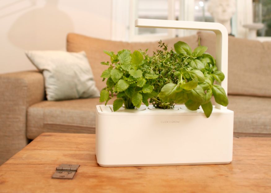 Smart Herb Garden od Click & Grow, czyli miniogródek we własnej kuchni