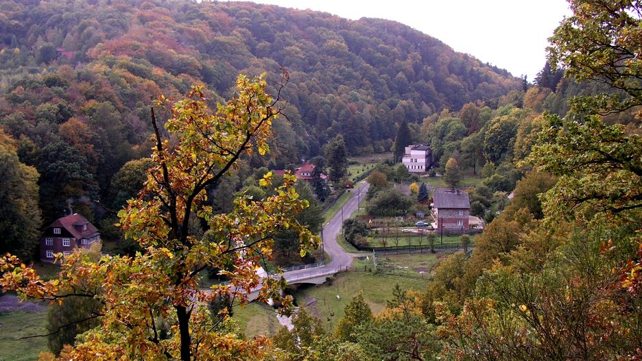 Obraz