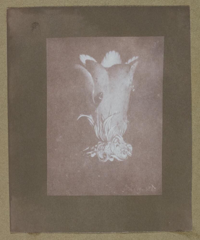 Pełne archiwum Ojca Fotografii dostępne. Zobaczcie wszystkie zdjęcia Foxa Talbota 10