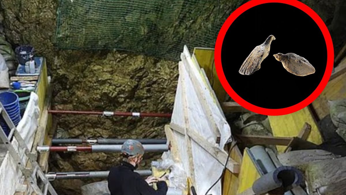 Znalezisko w jaskinii Hohle Fels na południowym zachodzie Niemiec 