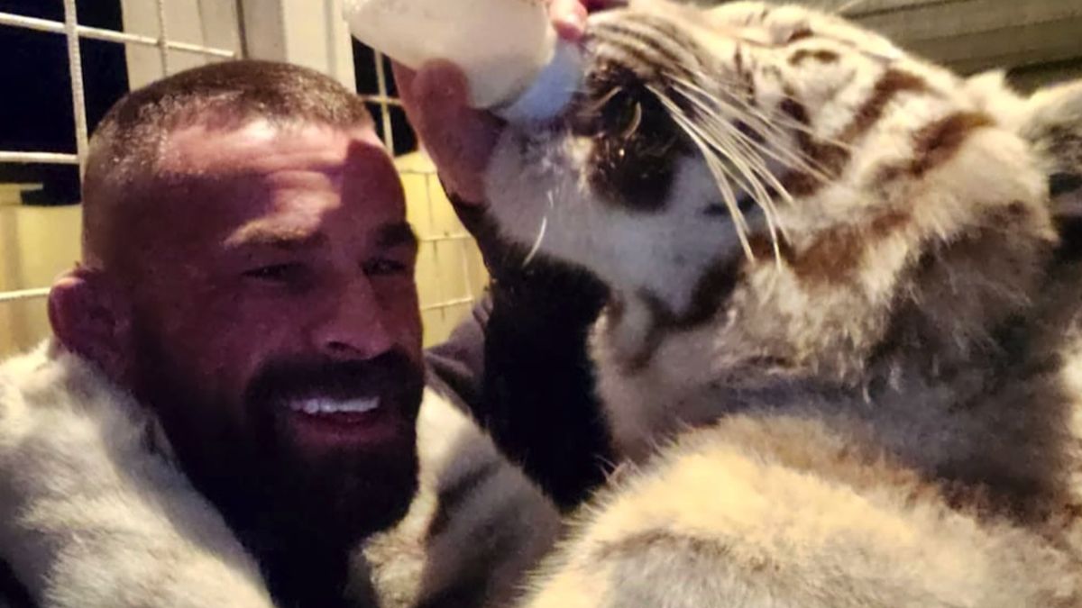 Karlos Vemola z tygrysicą