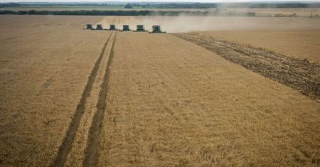 Kolejny szantaż Rosji? Najpierw był gaz, a teraz mówią o zbożu