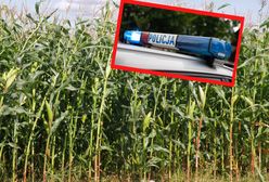 Zaginął w polu kukurydzy. Nie ma go 2 lata. Teraz nastąpił przełom