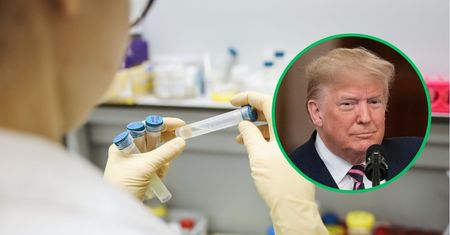 Trump promował lek na COVID-19. Preparat mógł zabić tysiące osób
