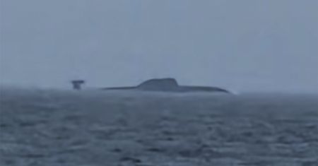 Zauważyli go u wybrzeży Norwegii. Zdjęcie z platformy wiertniczej obiegło sieć