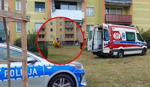 11-latek zginął na miejscu. Tragedia w Nowej Soli