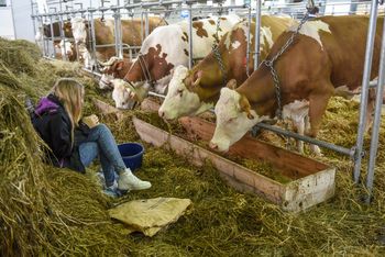 Na hektar trzeba dziś „wydoić” pięć krów. Ziemia rolna coraz droższa