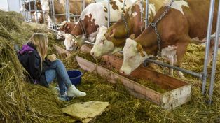 Na hektar trzeba dziś „wydoić” pięć krów. Ziemia rolna coraz droższa