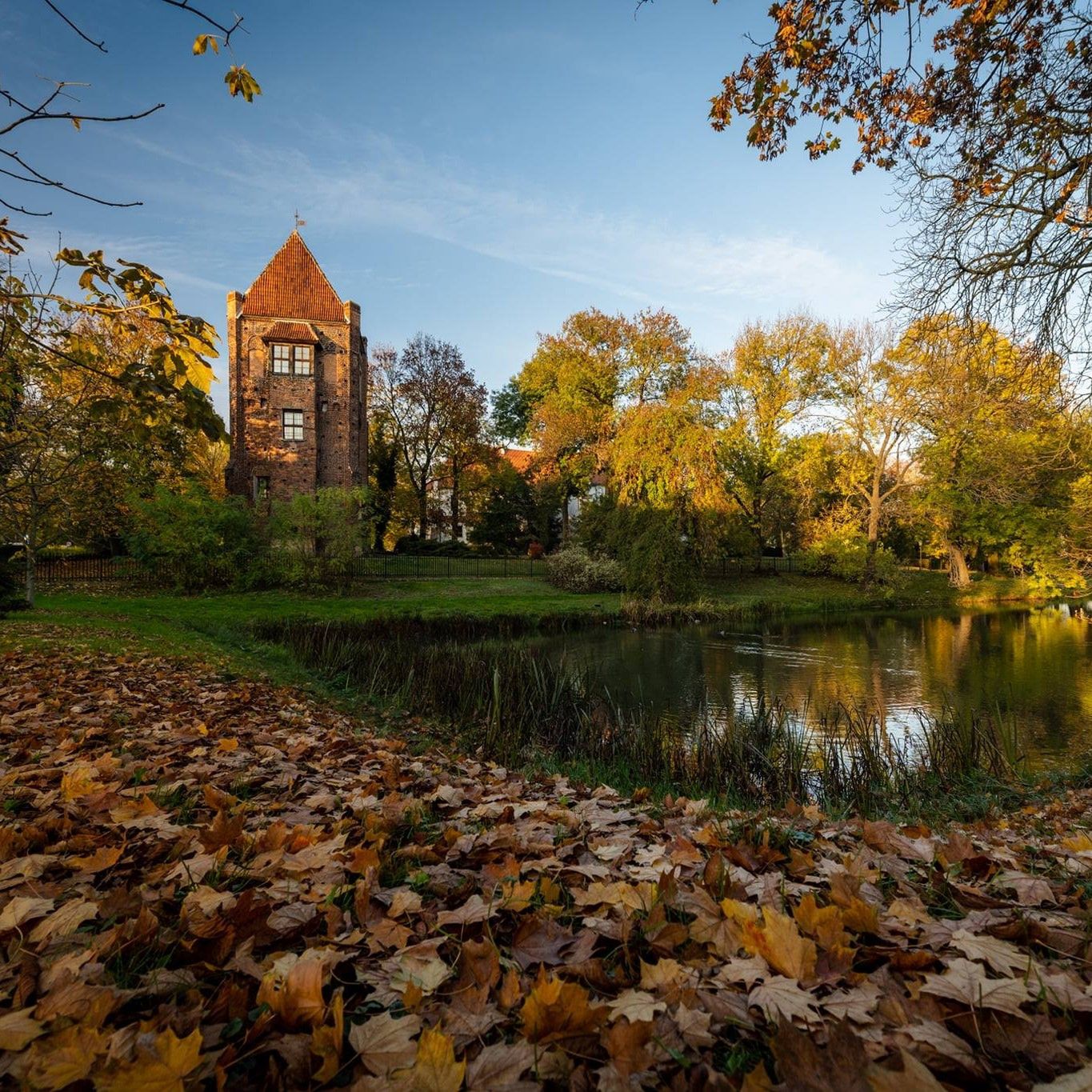 Piękno polskiej jesieni na zdjęciach naszych czytelników. W tym roku jest wyjątkowa! 8