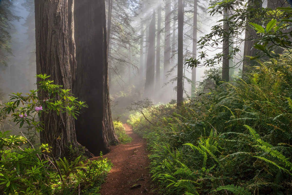 Przedstawiamy galerię zdjęć wyróżnionych w konkursie U.S.A. Landscape Photographer of the Year 2015 9