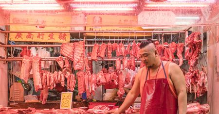 Koty na targach Hongkongu czują się jak w domu. Pokazał to Marcel Heijnen
