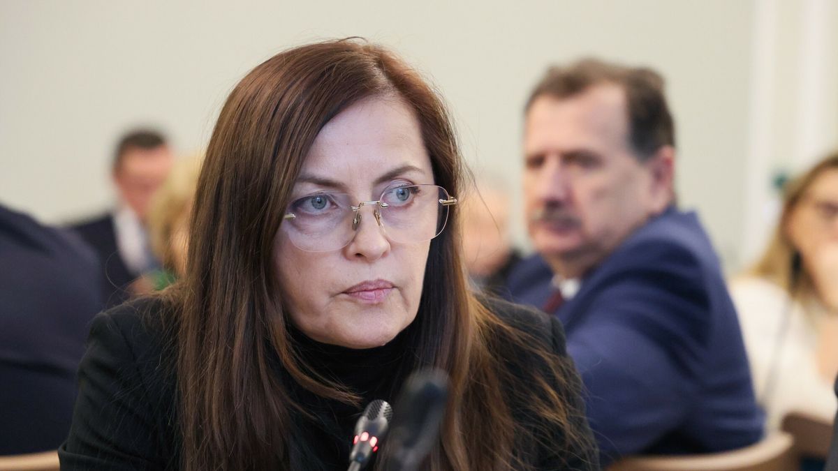 Monika Starecka podczas posiedzenia Komisji Infrastruktury