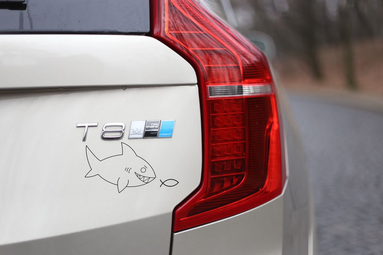 Ryba, łoś, prosiak – sprawdź, czy wiesz, co oznaczają naklejki na samochodach