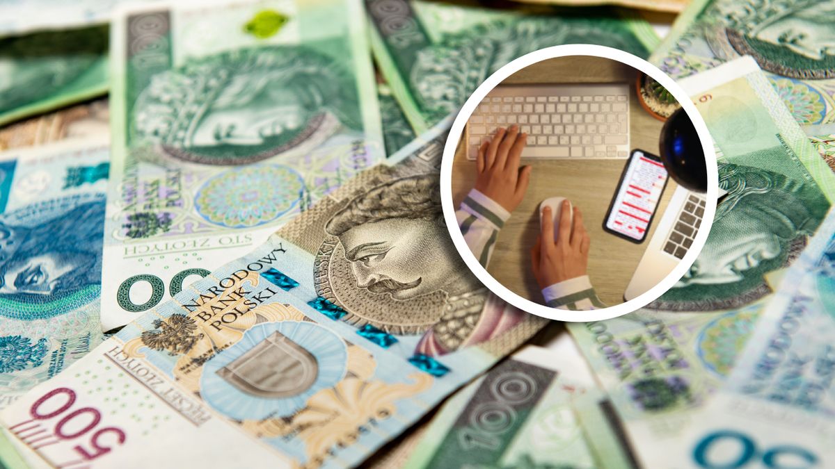 Zarobki w branży IT utrzymują się na wysokim poziome - wynika z raportu No Fluff Jobs