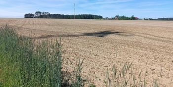 Kolno: W gminie podniesiono podatki od nieruchomości