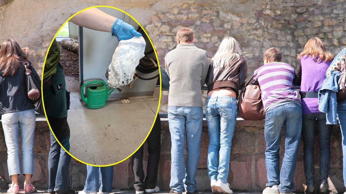 Ktoś z odwiedzających wrzucić zużytą pieluszkę na wybieg