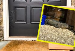 USA. Usłyszała pukanie do drzwi. Za drzwiami czekał aligator