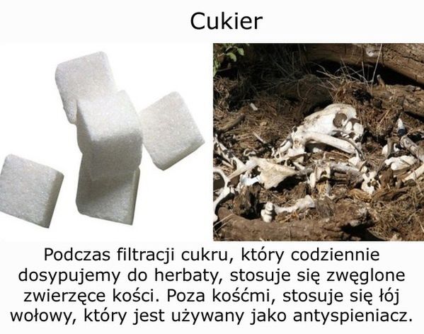 10 obrzydliwych substancji, które zjadasz na co dzień 2