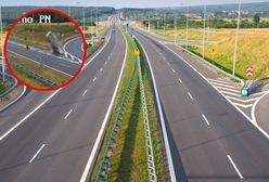 Przeżył dzięki poduszkom zderzeniowym. Cud to mało powiedziane