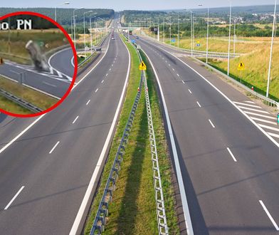 Przeżył dzięki poduszkom zderzeniowym. Cud to mało powiedziane