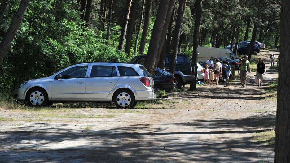 Za złamanie zasad grozi mandat (do 500 zł), a nawet grzywna sądowa. Straż Leśna ma prawo zatrzymać i ukarać.