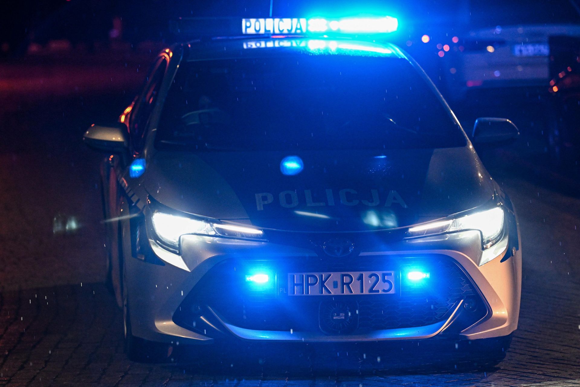 wiadomości,aktualności,WP Wiadomości Obława policji w Smogorzewie. Na drodze leśnej padły strzały