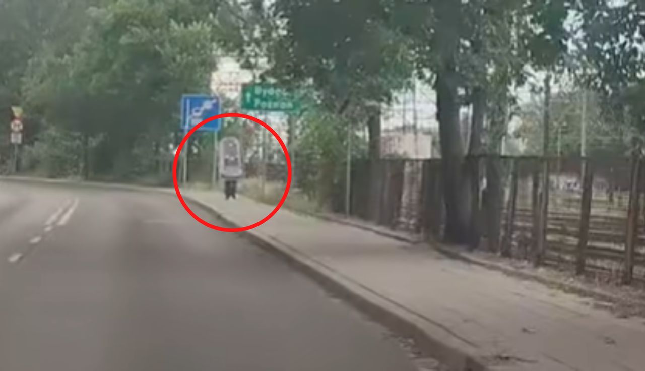 Sceny w Toruniu. Przyłapany tuż obok dworca