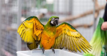 Targi Zoologiczne ZOOPARK 2023. Zwierzaki z całego świata zjadą do Lublina