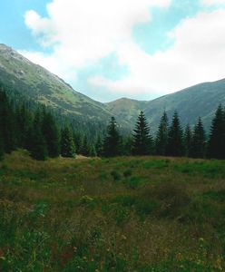 Słowackie Tatry. Zaginął 54-letni Polak. Ratownicy proszę o pomoc