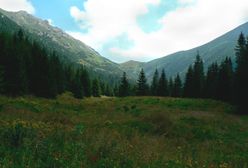 Słowackie Tatry. Zaginął 54-letni Polak. Ratownicy proszę o pomoc